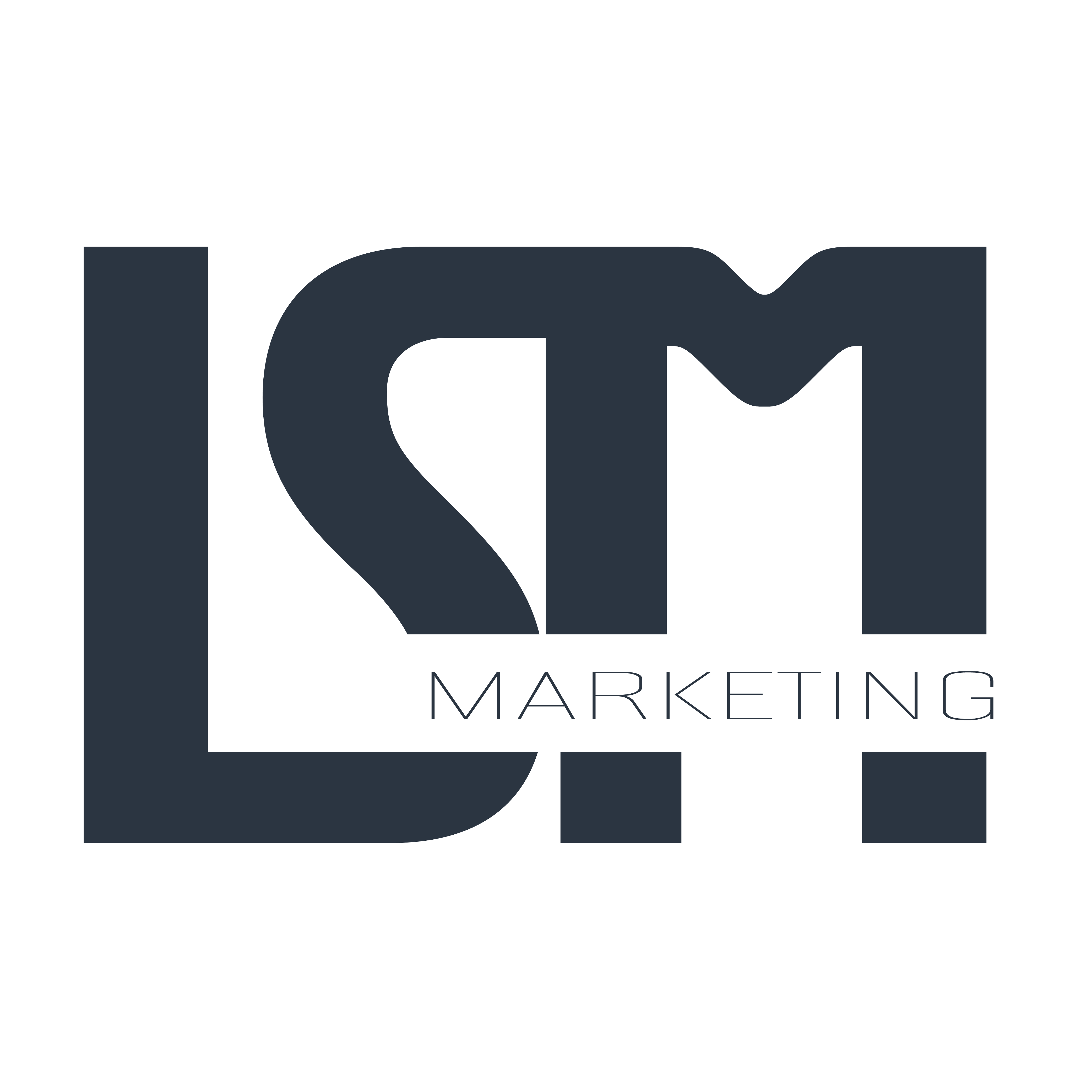 LSM Lucksem logo